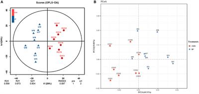 Microbial and metabolomic insights into the bovine lipometabolic responses of rumen and mammary gland to zymolytic small peptide supplementation